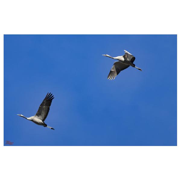 PHOTO84, CLUB, 84 , LUBERON